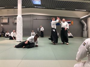 Aikido läger Mora år 2020