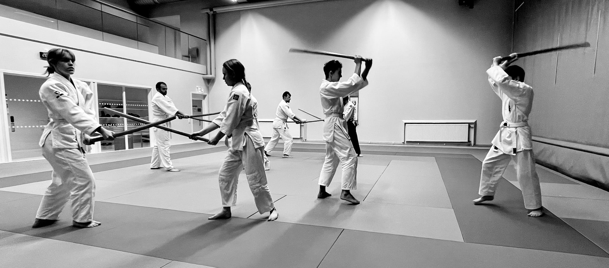 Karin tränar aikido i Umeå på Björkstadens Aikidoklub